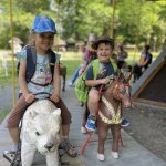 phoca_thumb_m_vlet 19 Fotogalerie